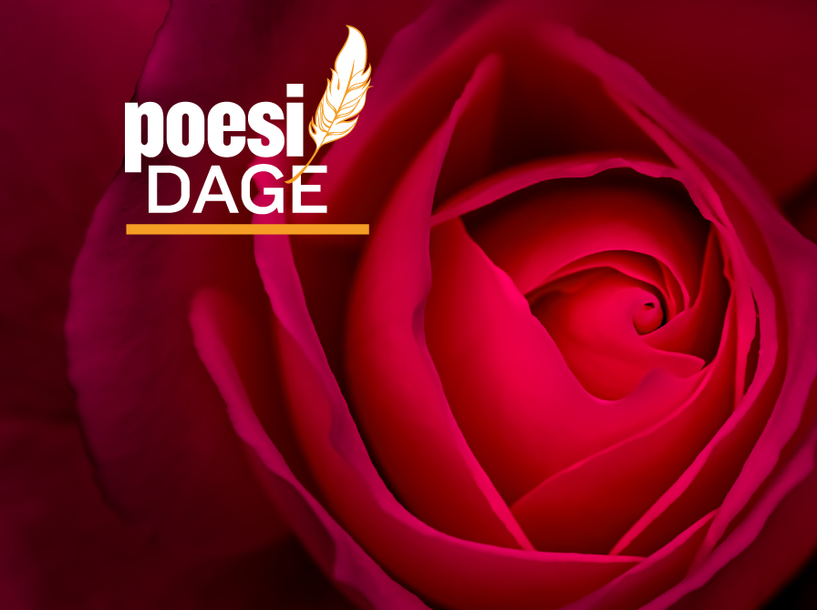 Afsløring af “Huldas rose” – en poetisk hyldest