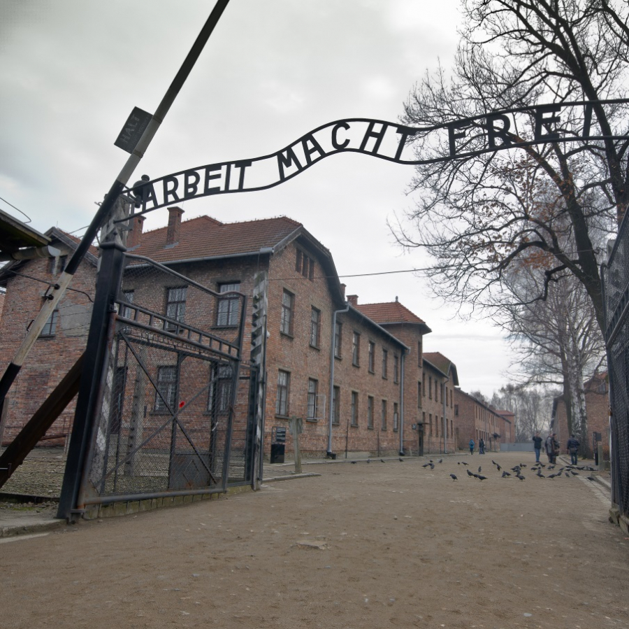 Foto fra Auschwitz