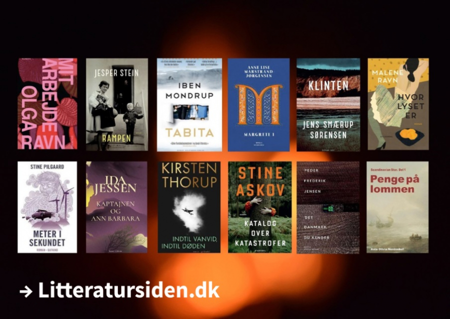 Bogforsider af de bøger Litteratursiden har valgt som årets bedste romaner i 2020